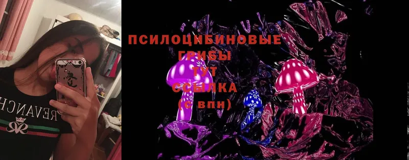 продажа наркотиков  Плавск  Псилоцибиновые грибы MAGIC MUSHROOMS 